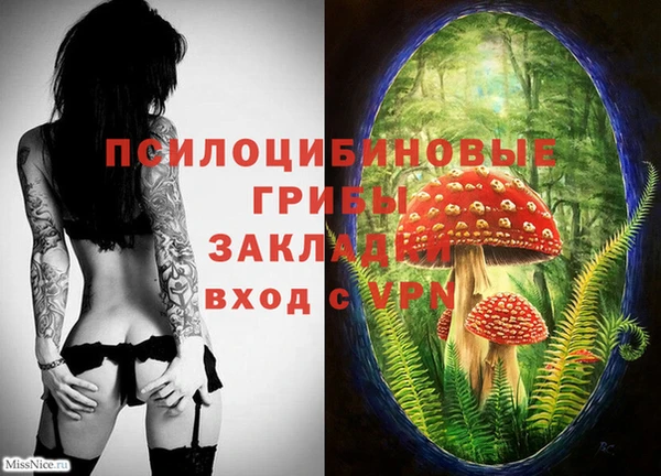 молекула духа Каменка