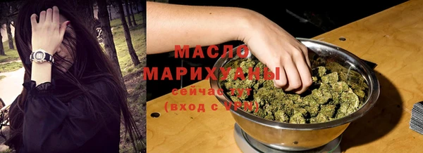 молекула духа Каменка